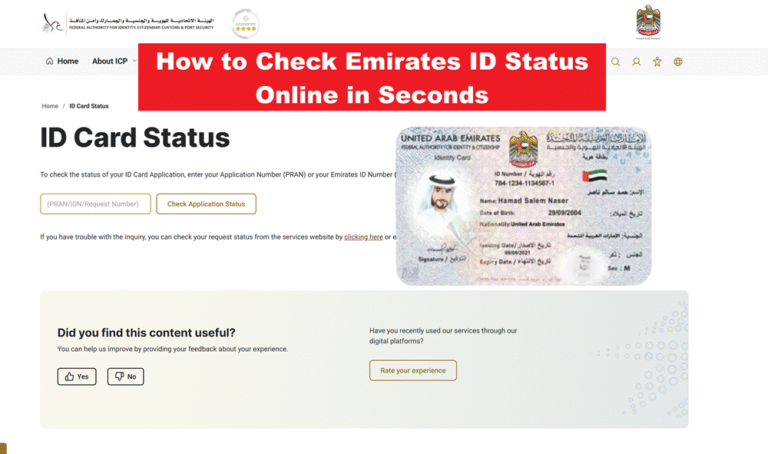 How to Check Emirates ID Status Online in Seconds